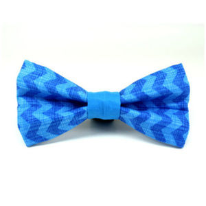 Dog/Cat Bow Chevron Blue Velcro